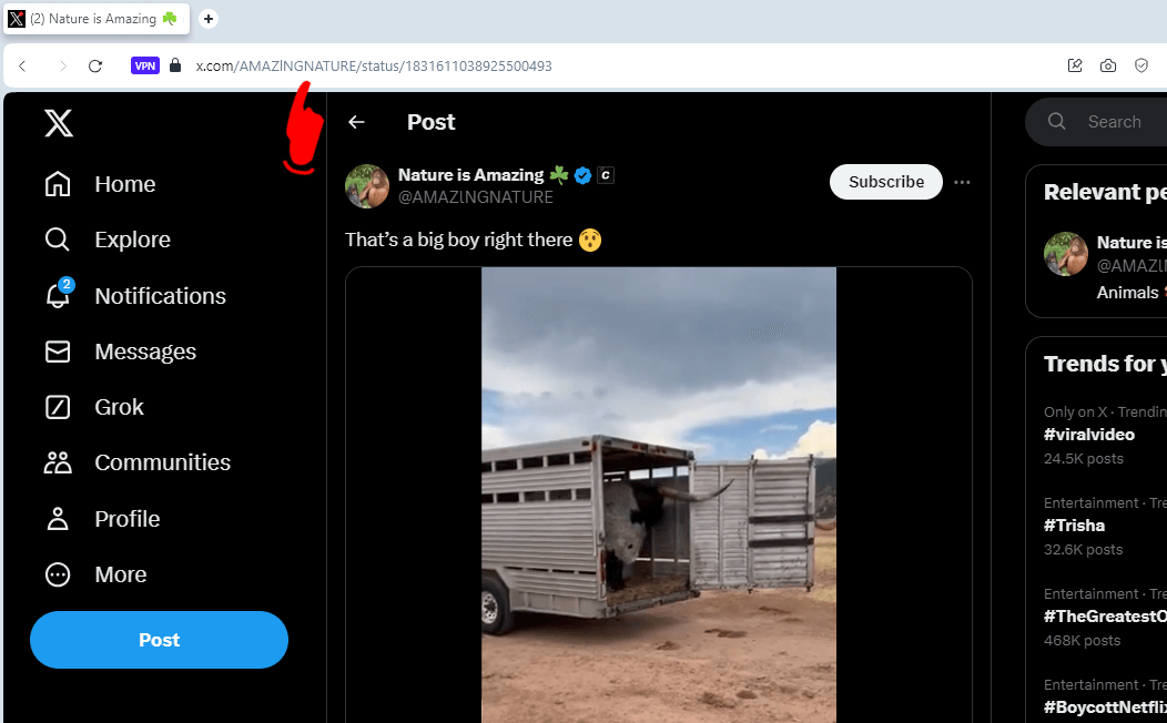 How to Download Videos from Twitter