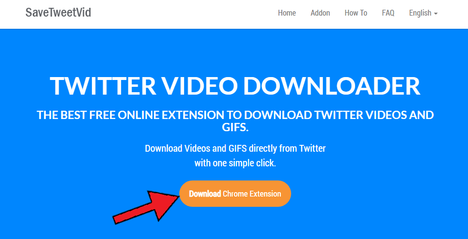 How to Download Twitter videos by Extension