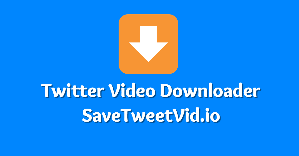 SaveTweetVid Twitter Downloader